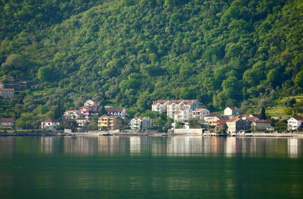 Ana Apartment Kotor Eksteriør billede